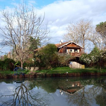 Gite Au Jardin Meilhan-sur-Garonne Zewnętrze zdjęcie