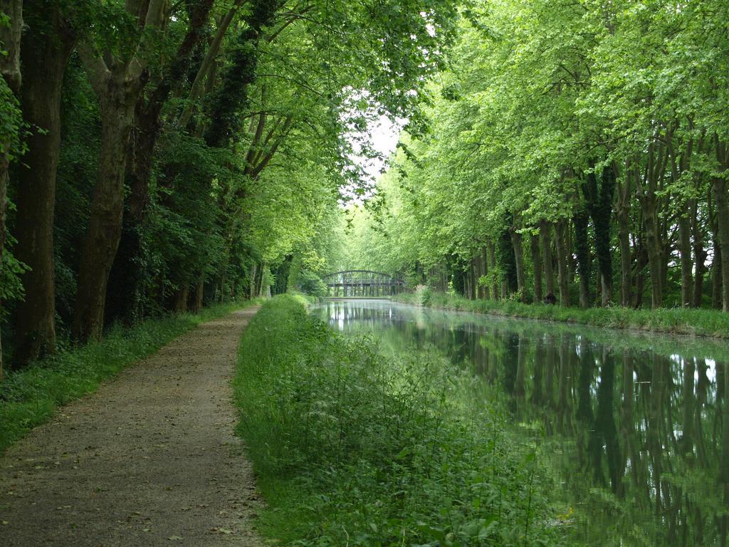 Gite Au Jardin Meilhan-sur-Garonne Pokój zdjęcie