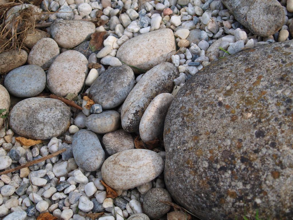 Gite Au Jardin Meilhan-sur-Garonne Pokój zdjęcie