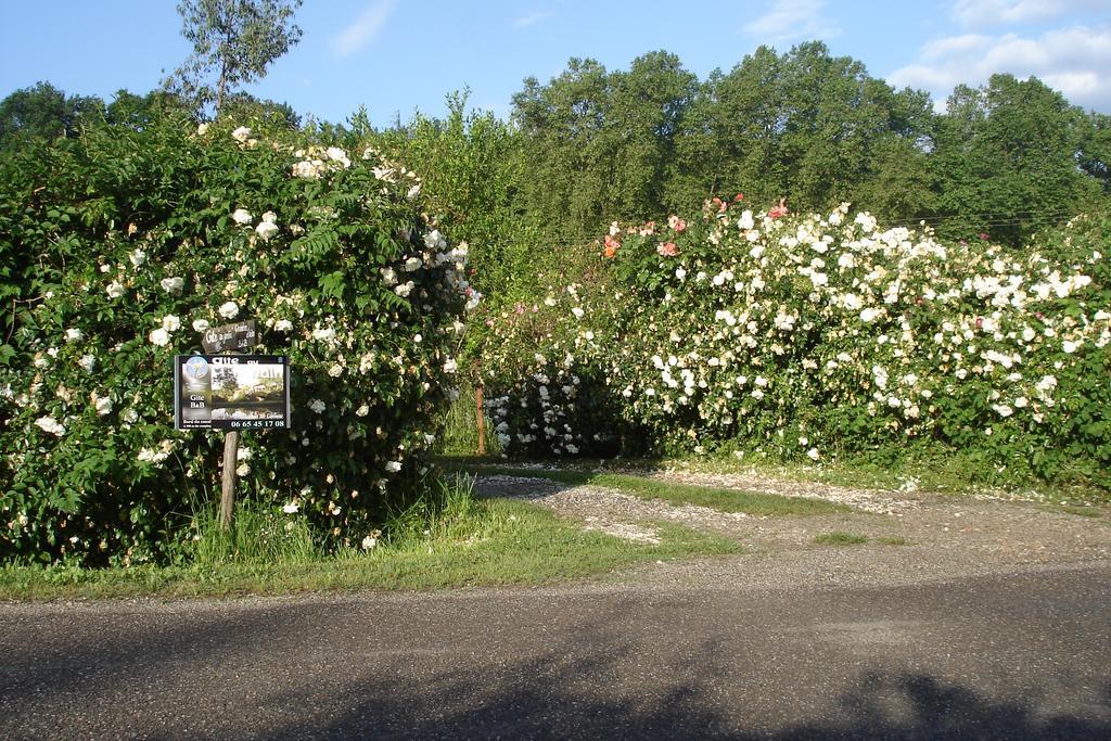 Gite Au Jardin Meilhan-sur-Garonne Zewnętrze zdjęcie